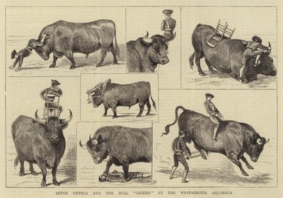 Señor Ortega y el toro Ligero en el Acuario de Westminster de Alfred Chantrey Corbould